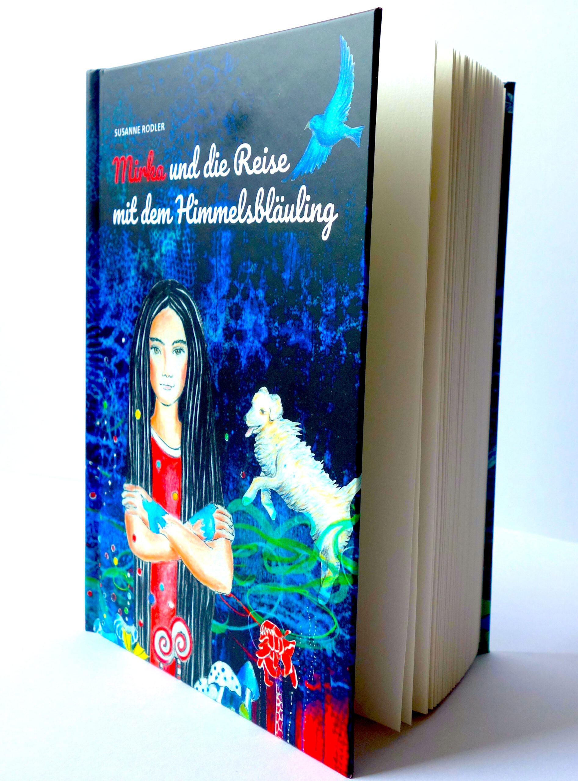 buch cover 1