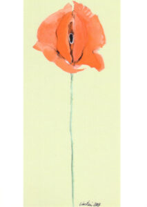 Entfaltung8 213x300